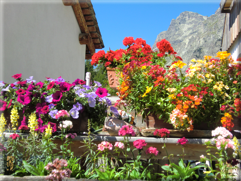 foto Sils Maria